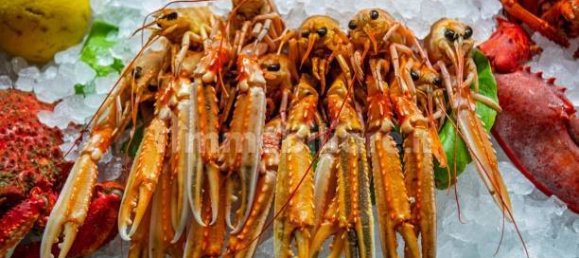 2-Zimmer Gewerbliche Immobilie in Savona, Italy, Nr. 189146 27