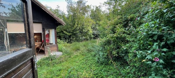 10 rooms House in Niederhollabrunn, Austria No. 181035 35