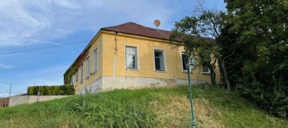 10 rooms House in Niederhollabrunn, Austria No. 181035 49