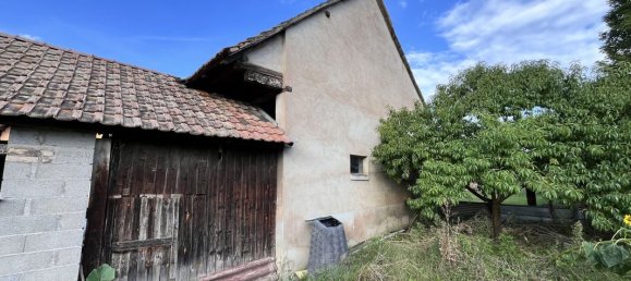 4 chambres Maison à Quatzenheim, France No. 241236 18