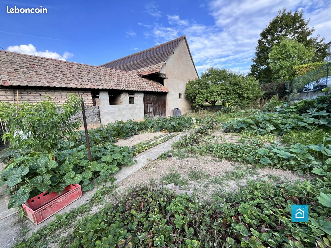 4 chambres Maison à Quatzenheim, France No. 241236