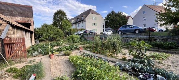 4 chambres Maison à Quatzenheim, France No. 241236 17