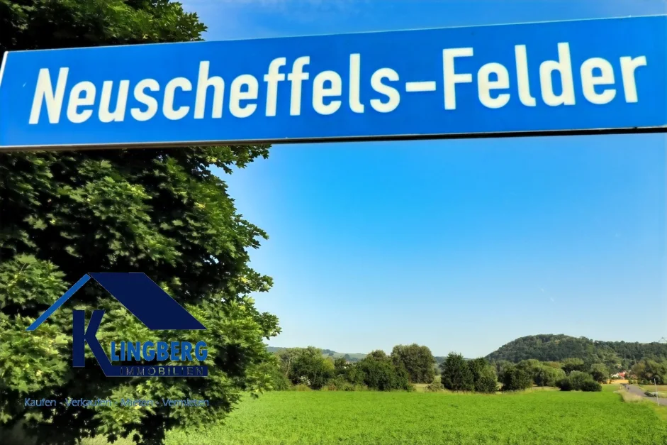  Land in Saale-Holzland, Germany No. 254512