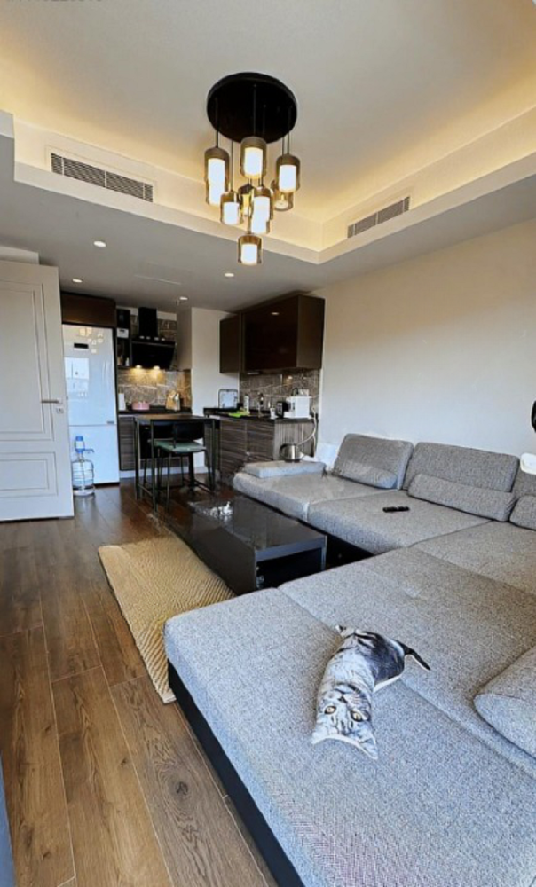 Apartment 2+1 in Istanbul, Turkey No. 23993