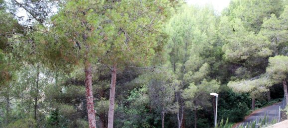 4 bedrooms Villa in La Nucia, Spain No. 4352 8