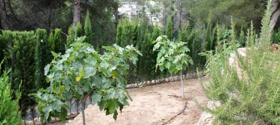 4 bedrooms Villa in La Nucia, Spain No. 4352 5