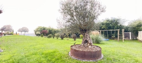 3 chambres Maison à Entzheim, France No. 158501 5