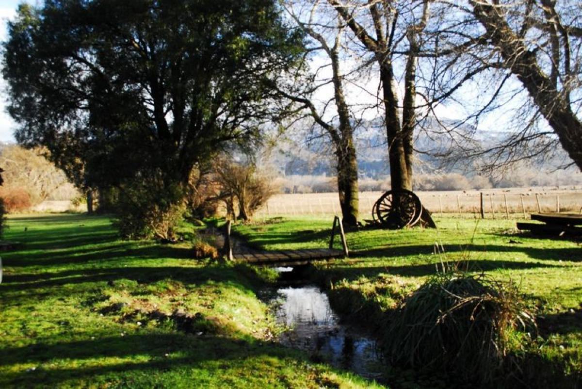  Land in Neuquen, Argentina No. 39710