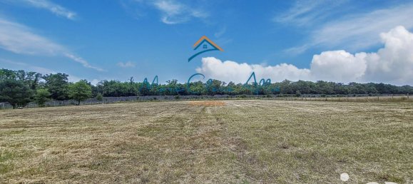 Casa de 2 dormitorios en Huisseau-sur-Cosson, France No. 250815 17