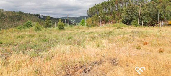  قطعة أرض في Sul, Portugal رقم 65842 3