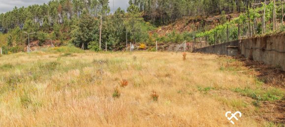  قطعة أرض في Sul, Portugal رقم 65842 2