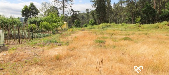  قطعة أرض في Sul, Portugal رقم 65842 5