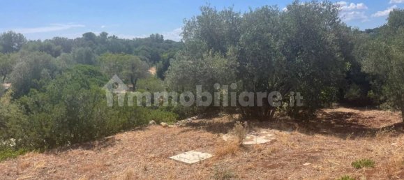 Дом с 3 спальнями в Челье Мессапика, Италия № 259329 9