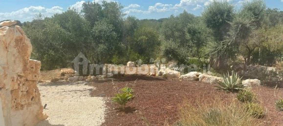 Дом с 3 спальнями в Челье Мессапика, Италия № 259329 29