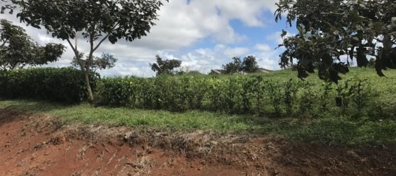  Land in Nicoya, Costa Rica No. 1440 6