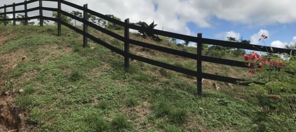  Land in Nicoya, Costa Rica No. 1440 3