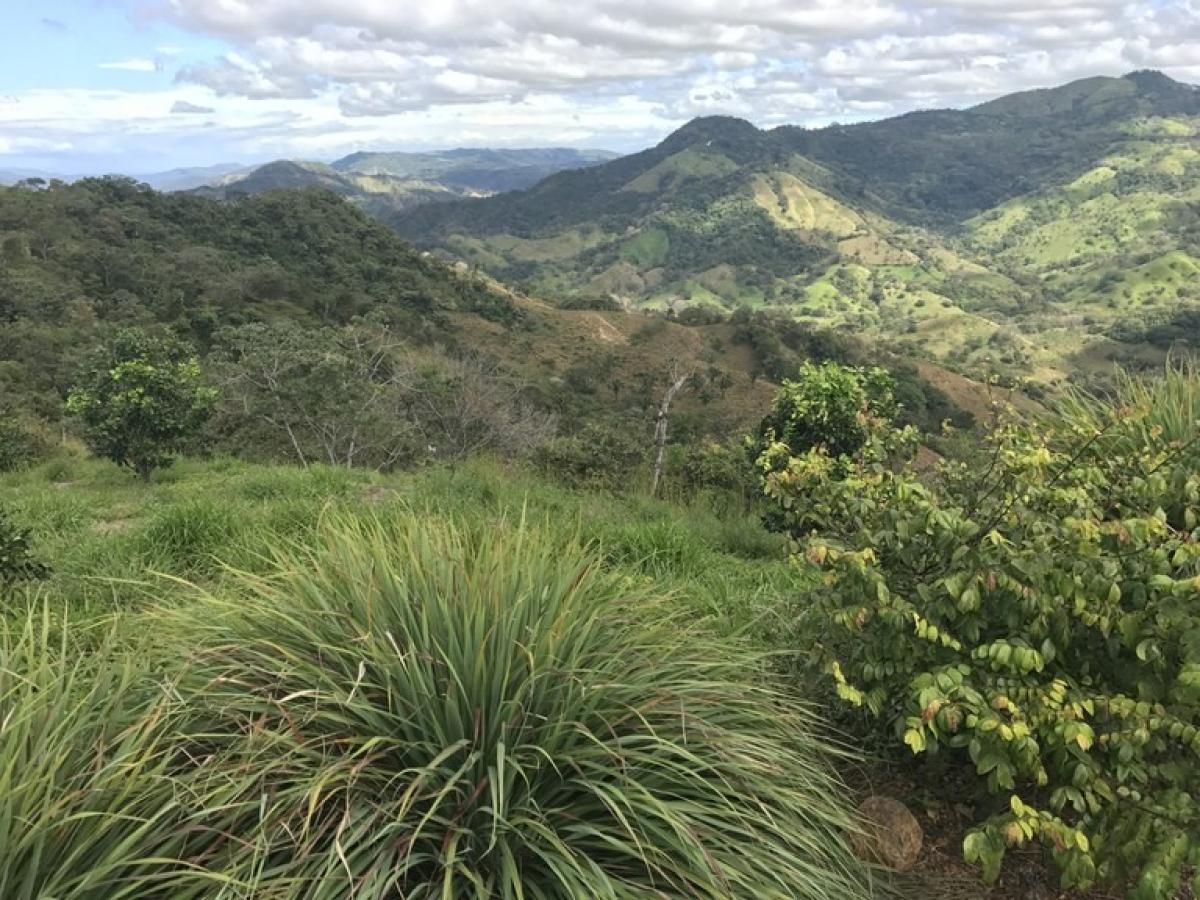  Land in Nicoya, Costa Rica No. 1440