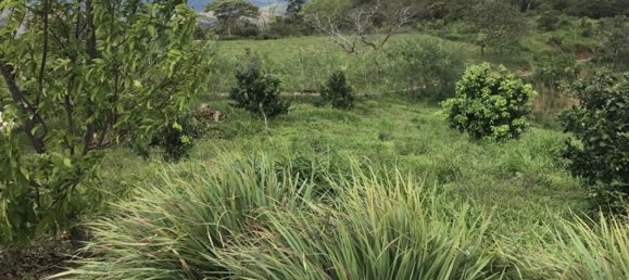  Land in Nicoya, Costa Rica No. 1440 2