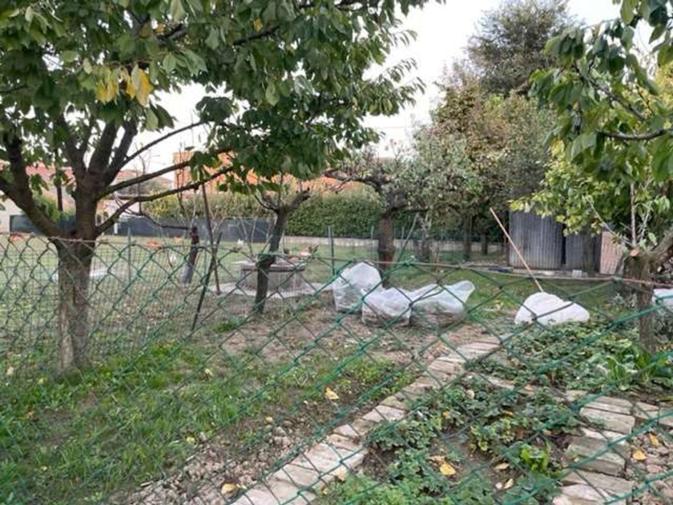  قطعة أرض في Mirandola, Italy 600متر مربع رقم 85012