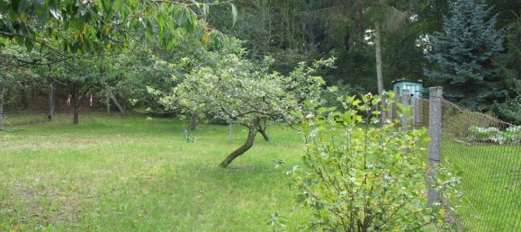 3 bedrooms House in Vorpommern-Greifswald, Germany No. 267698 5