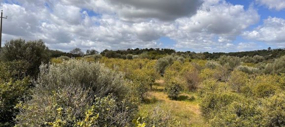 Terrain à Noto, Italy 25000m² No. 63389 25