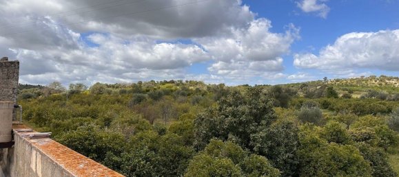 Terrain à Noto, Italy 25000m² No. 63389 21