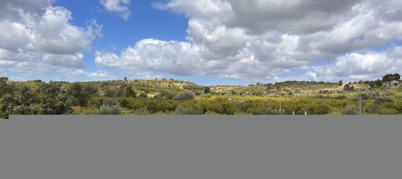 Terrain à Noto, Italy 25000m² No. 63389 20