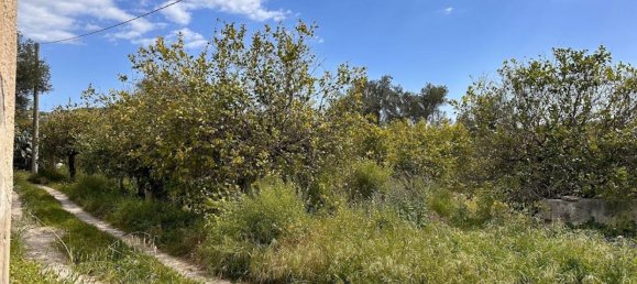 Terrain à Noto, Italy 25000m² No. 63389 3