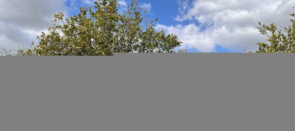 Terrain à Noto, Italy 25000m² No. 63389 2