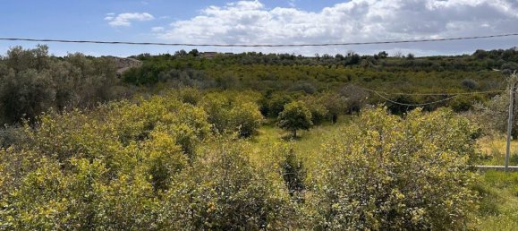 Terrain à Noto, Italy 25000m² No. 63389 24