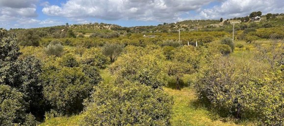 Terrain à Noto, Italy 25000m² No. 63389 22