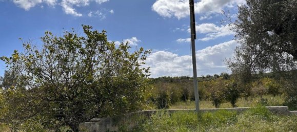 Terrain à Noto, Italy 25000m² No. 63389 4