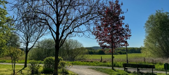 1 bedroom Apartment in Potsdam-Mittelmark, Germany No. 226719 2