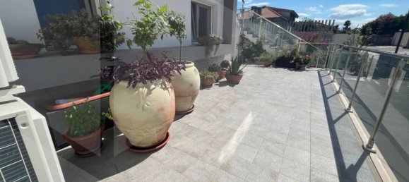 3 rooms Apartment in Termoli, Italy No. 24008 19