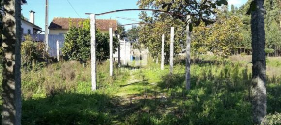 Casa de 2 dormitorios en Viana do Castelo, Portugal No. 49106 4