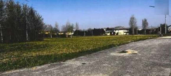 1255m² Warehouse in Castel d'Ario, Italy No. 202278 19