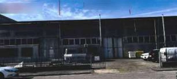 1255m² Warehouse in Castel d'Ario, Italy No. 202278 4