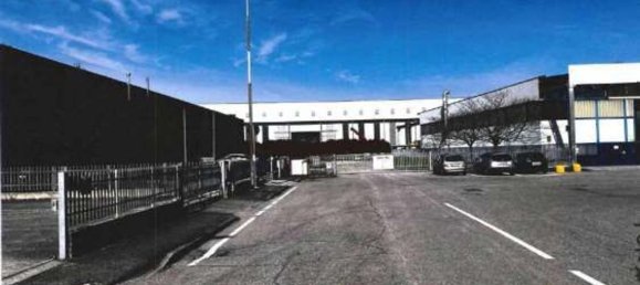 1255m² Warehouse in Castel d'Ario, Italy No. 202278 20