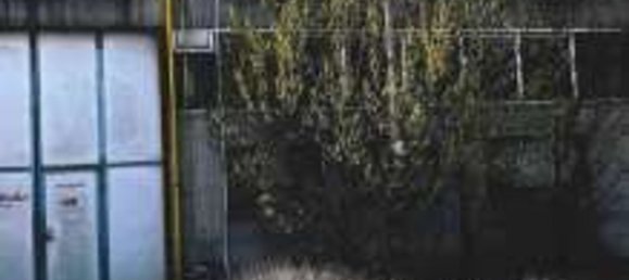 1255m² Warehouse in Castel d'Ario, Italy No. 202278 5