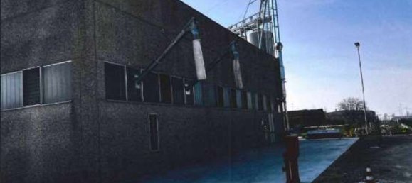 1255m² Warehouse in Castel d'Ario, Italy No. 202278 16