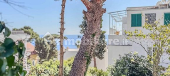 3 bedrooms Apartment in Capri, Italy No. 12565 16