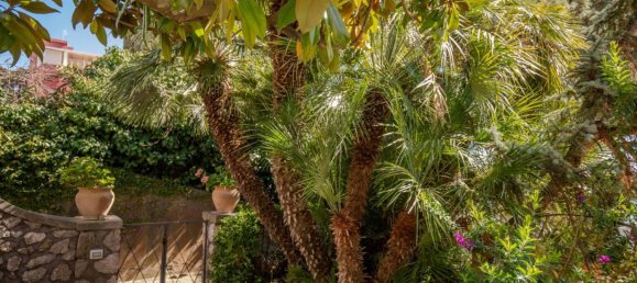 3 bedrooms Apartment in Capri, Italy No. 12565 23