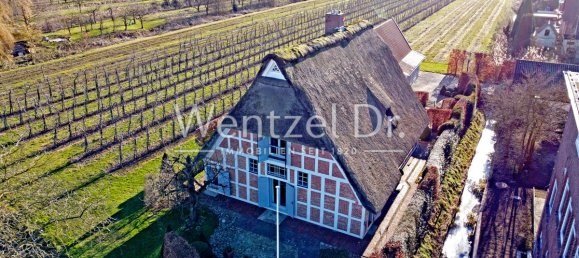 7 rooms House in Stade, Germany No. 186396 5