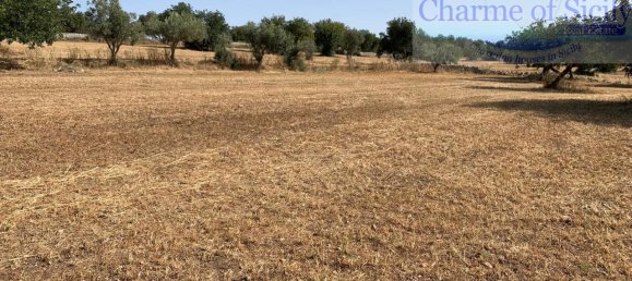 2-Zimmer Haus in Modica, Italy, Nr. 237398 13