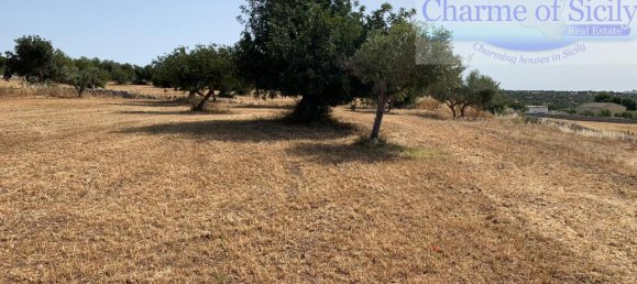 2-Zimmer Haus in Modica, Italy, Nr. 237398 24