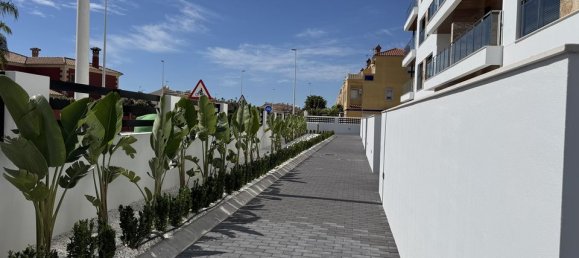 2 bedrooms Penthouse in La Zenia, Spain No. 178419 5