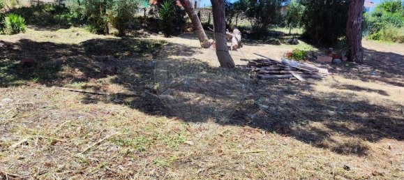 Terrain à Cascais, Portugal No. 69036 5