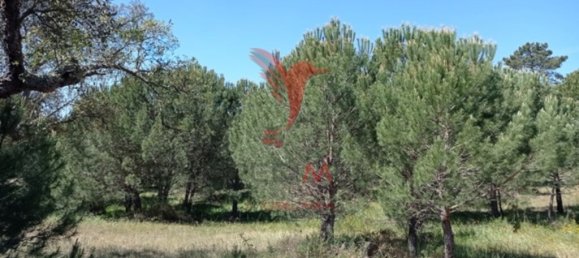  قطعة أرض في Couco, Portugal 51500متر مربع رقم 62246 8