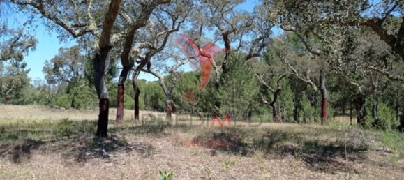  قطعة أرض في Couco, Portugal 51500متر مربع رقم 62246 3