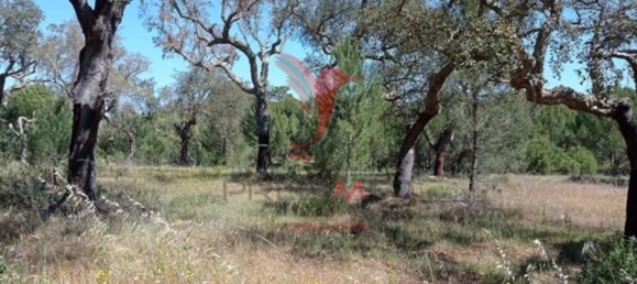  قطعة أرض في Couco, Portugal 51500متر مربع رقم 62246 6